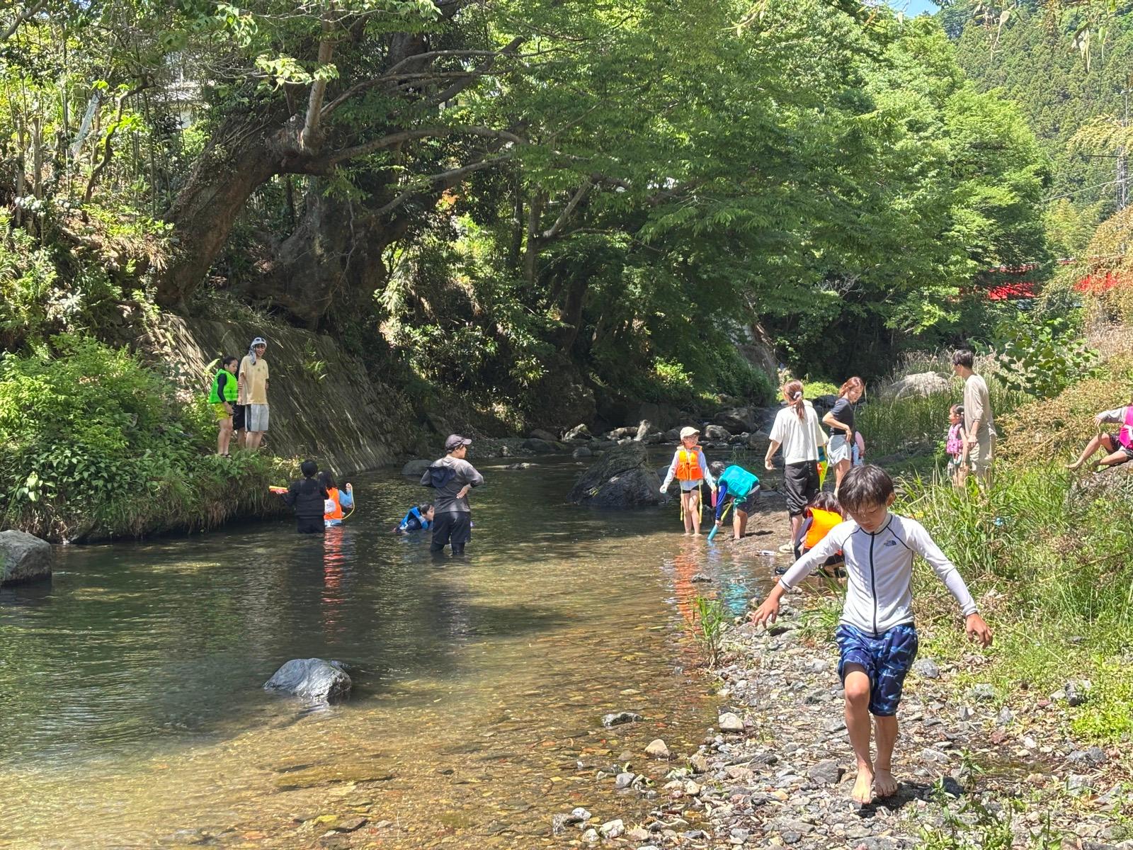 川の全景。大きな木が張り出した岸辺と、水に入る子どもたち