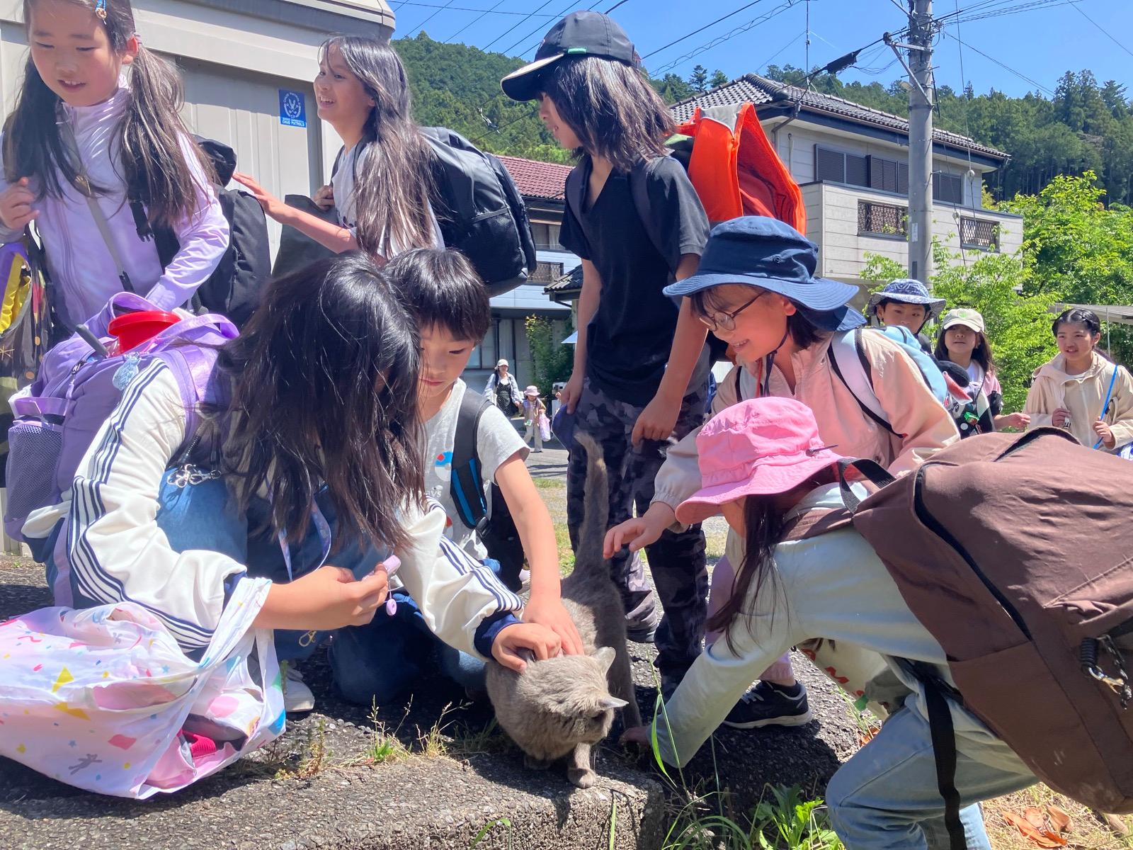 坂道の途中で、灰色の猫を囲んでしゃがみこむ子どもたち
