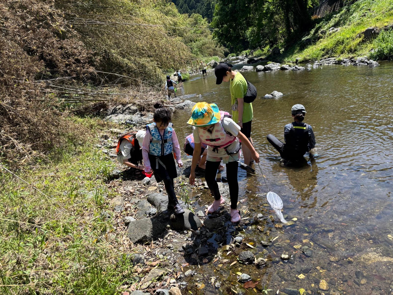 岸辺で網を水に入れ、石の間をのぞきこむ
