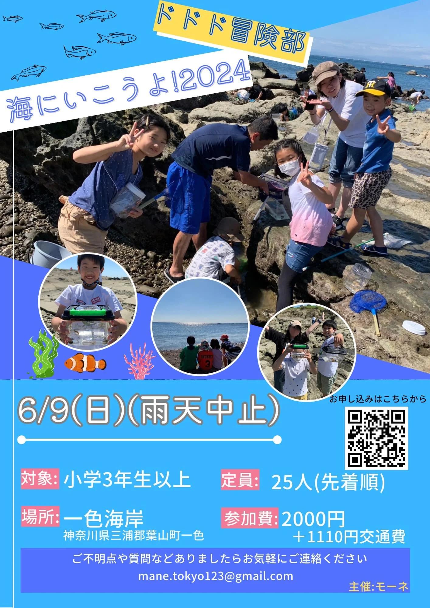 ドドド冒険部 海にいこうよ!2024