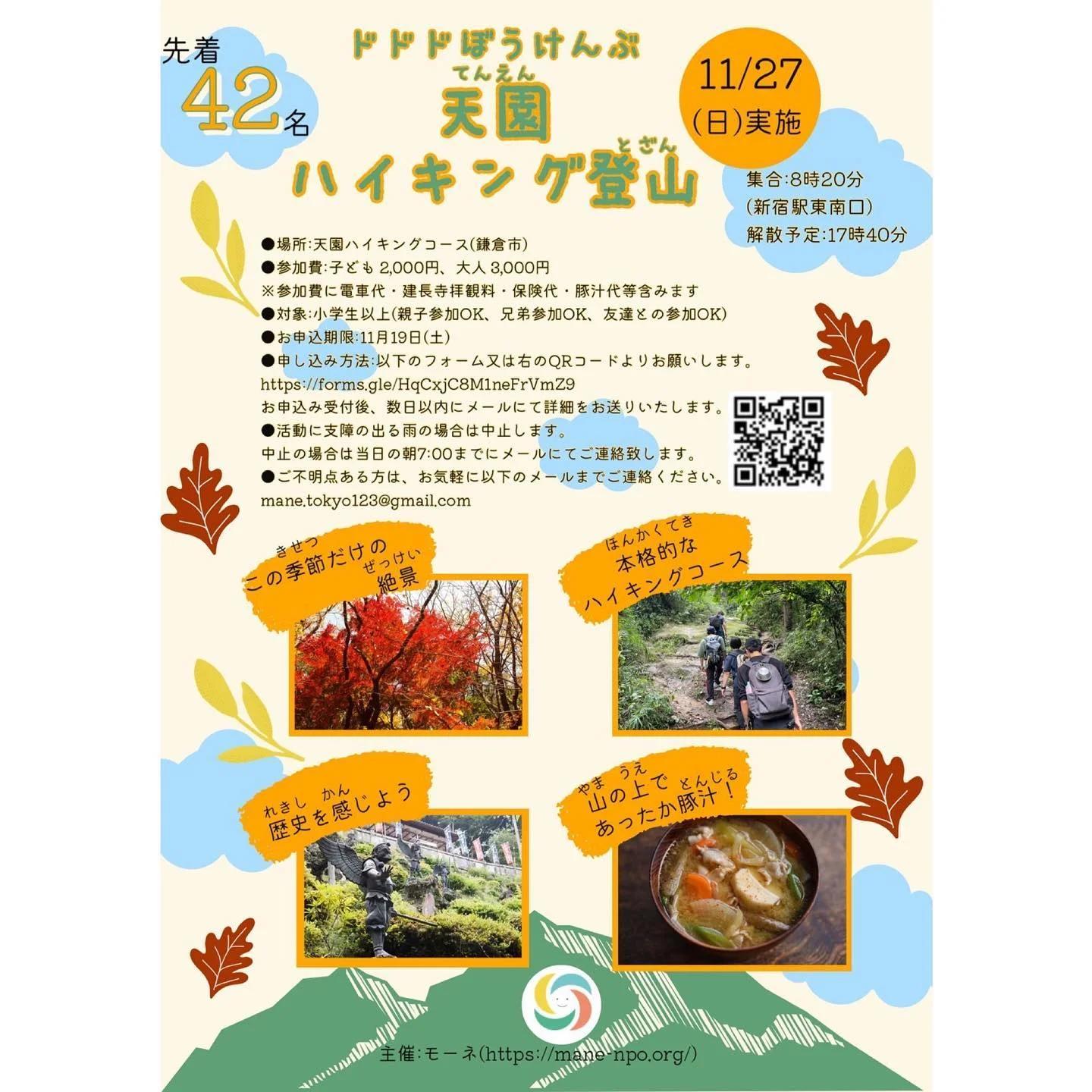 ドドドぼうけんぶ 天園ハイキング登山