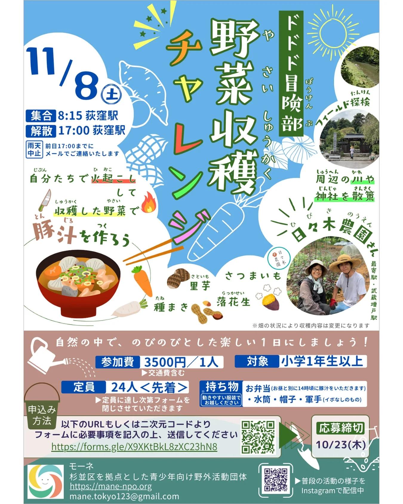 野菜収穫チャレンジ